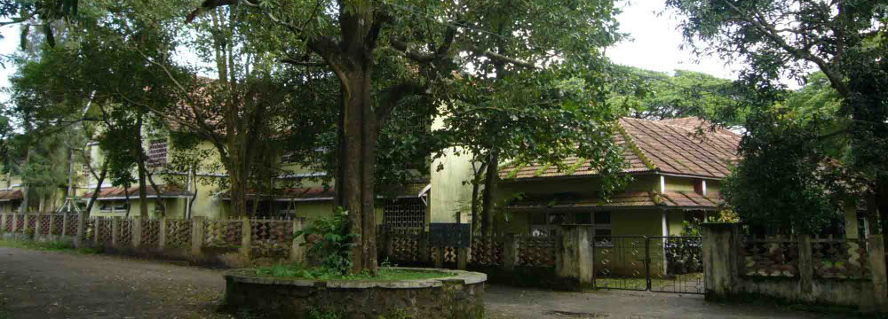 FACT CD Credit Society